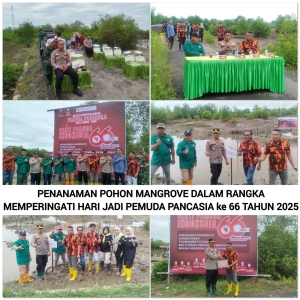 Kapolres Langsa Hadiri Penanaman Pohon Mangrove di Hari Jadi Pemuda Pancasila ke-66
