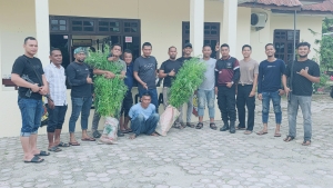 Polres Langsa Amankan Terduga Pelaku Penyalahgunaan Ganja di Sungai Raya
