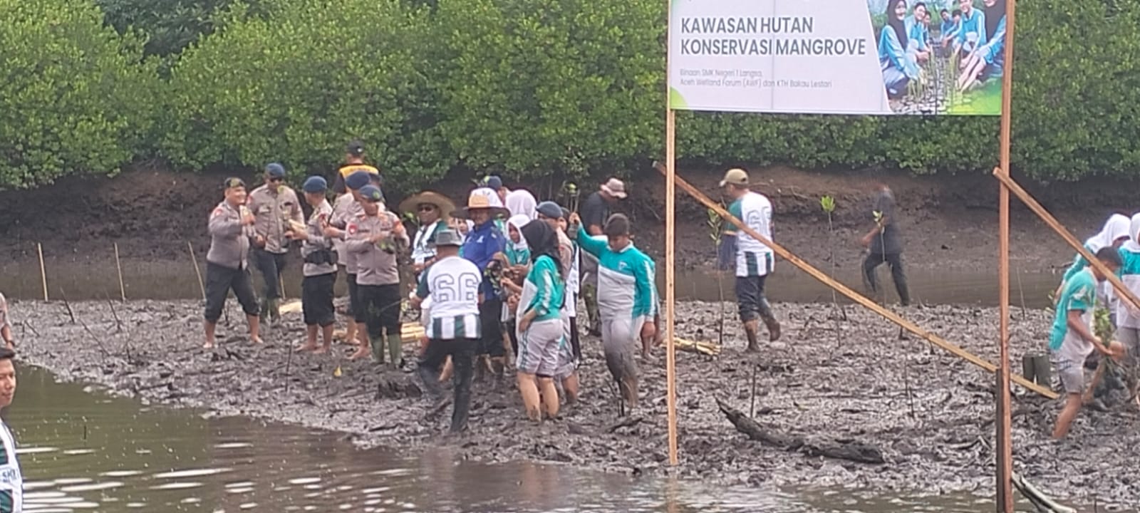 Polsek Langsa Barat Bersama Pelajar Tanam 1.000 Mangrove, Jaga Ekosistem Pesisir