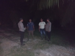 Polsek Birem Bayeun Intensifkan Patroli Di Paya Rambung, Cegah Pencurian TBS Kelapa Sawit