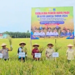 Gerakan Panen Raya Padi Kota Langsa 2026, Perkuat Ketahanan Pangan Dan Kesejahteraan Petani